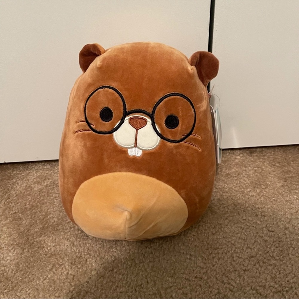 Chip squishmallow